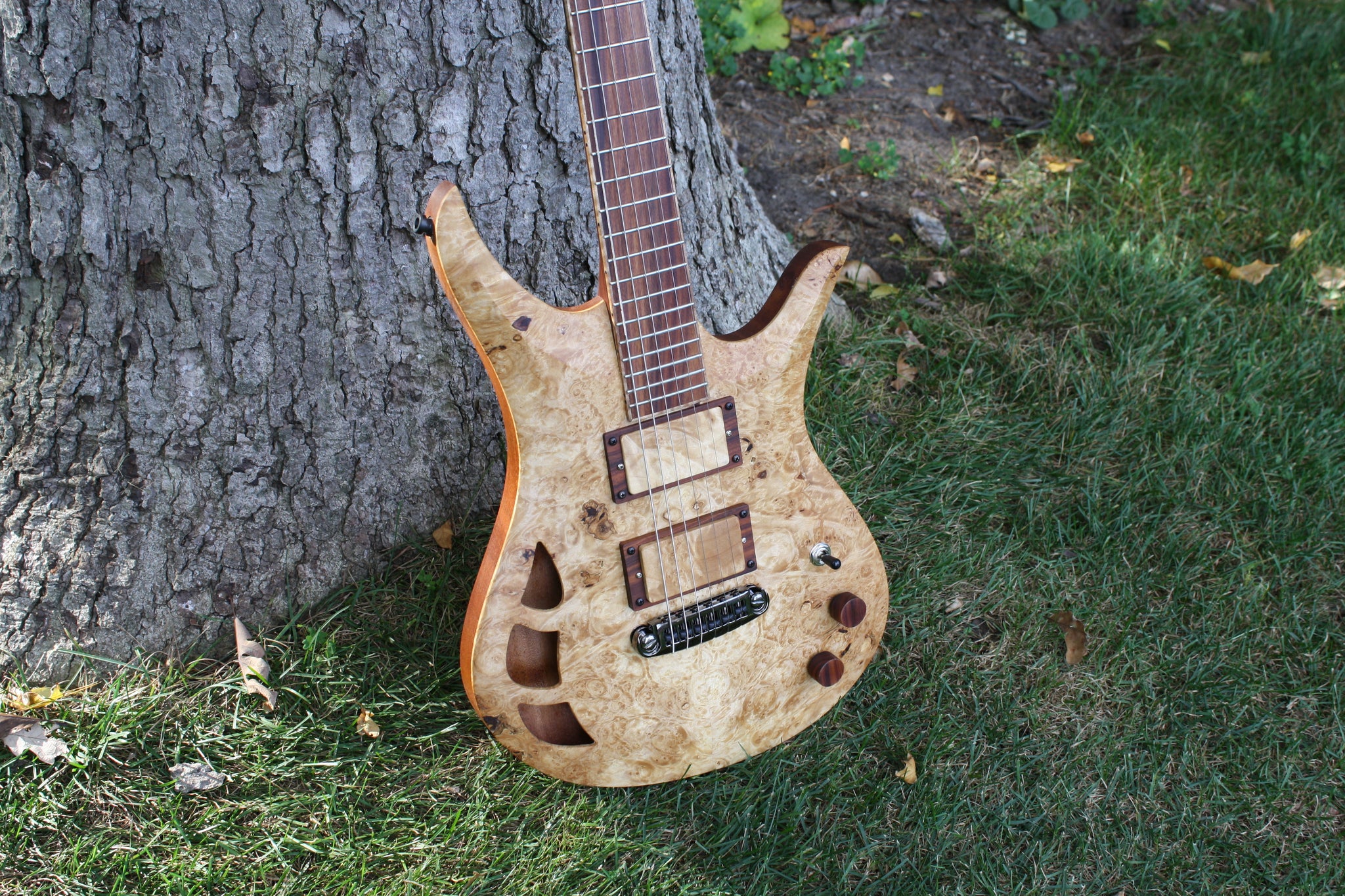 Acer Guitars Burl Maple Omni electric guitar