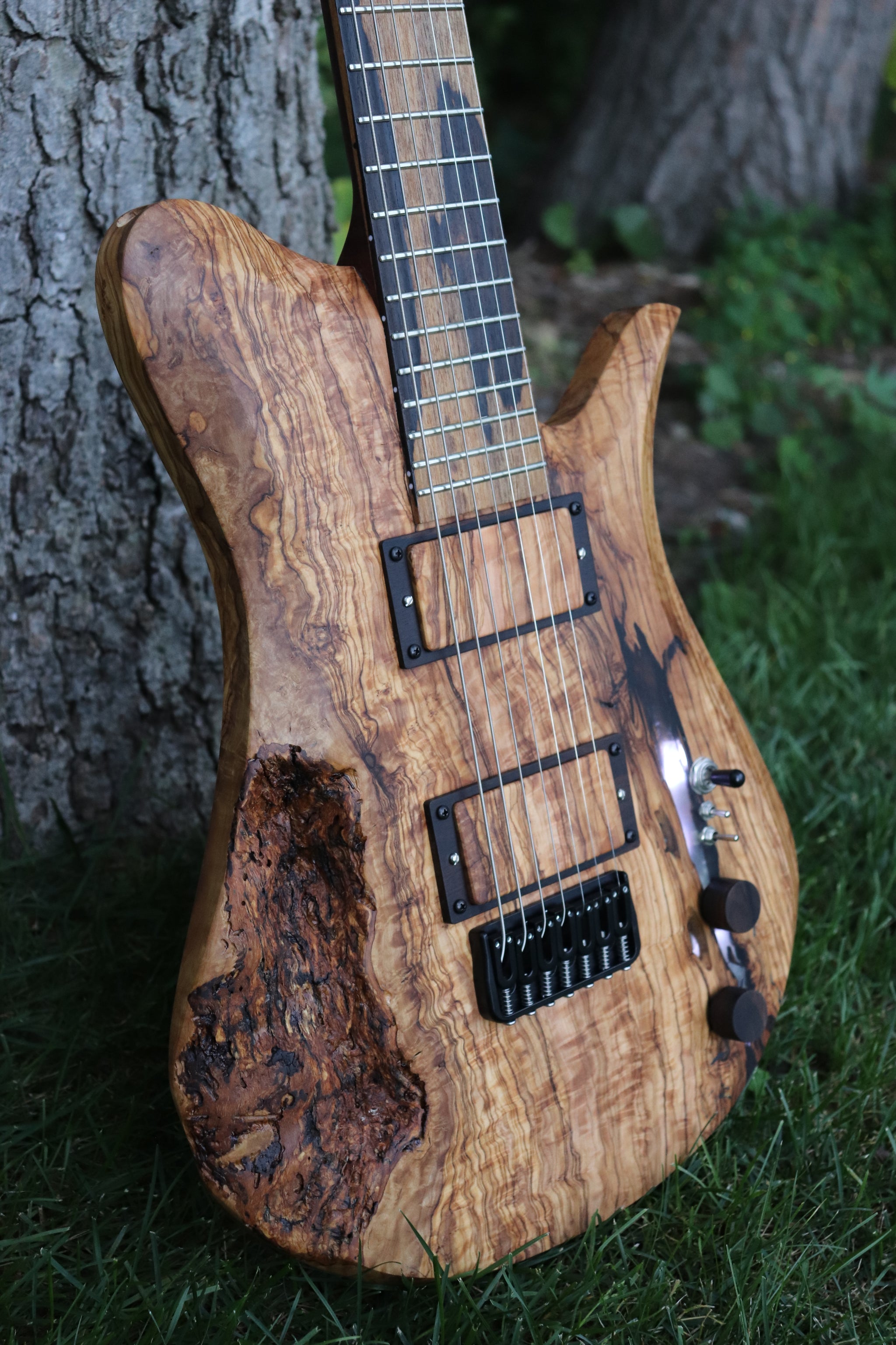 Acer Guitars Home