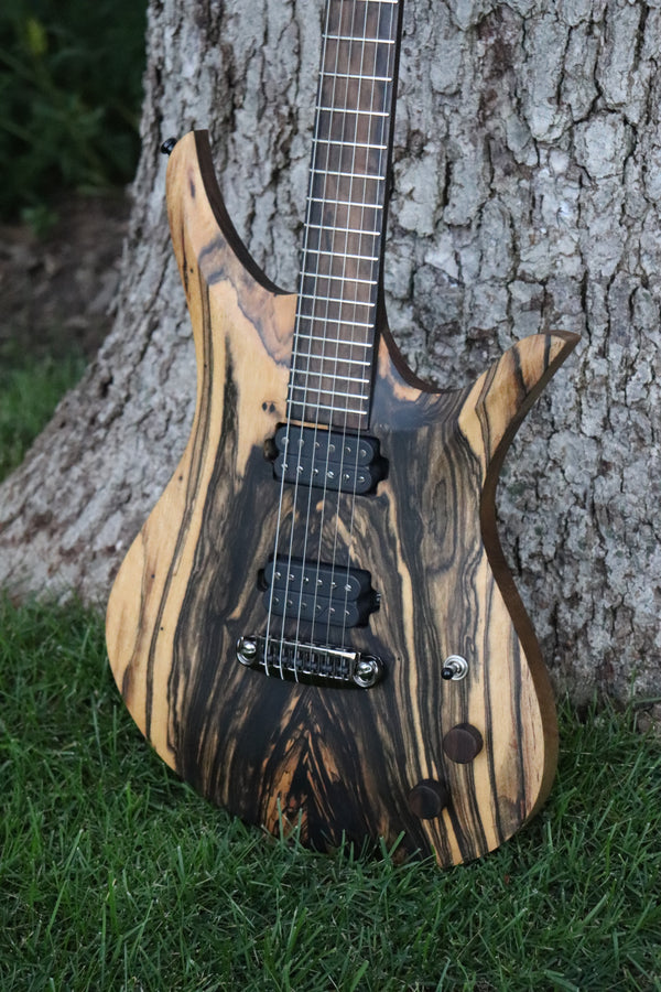 2024年ファッション福袋 Pale Moon Ebony Omni - Acer Guitars 黒檀（こくたん）